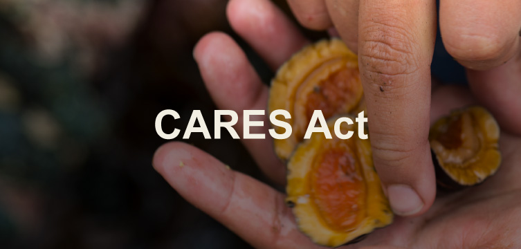 CARES Act Application